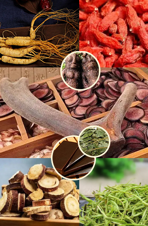 融匯八大地道主要藥材